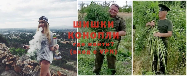молекула духа Алексин