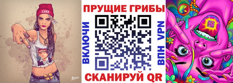 Псилоцибиновые грибы Cubensis  ОМГ ОМГ онион  Кострома 