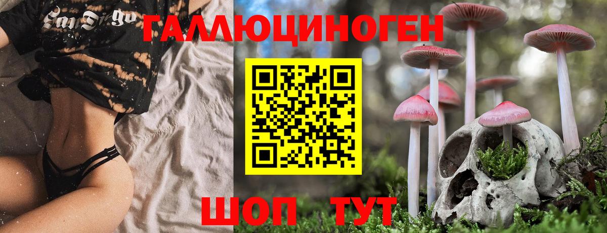 наркотики  Галлюциногенные грибы Psilocybe  Вход с VPN  Кострома  Псилоцибиновые грибы Psilocybine cubensis 